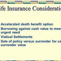 Портфолио Kelly Aniston